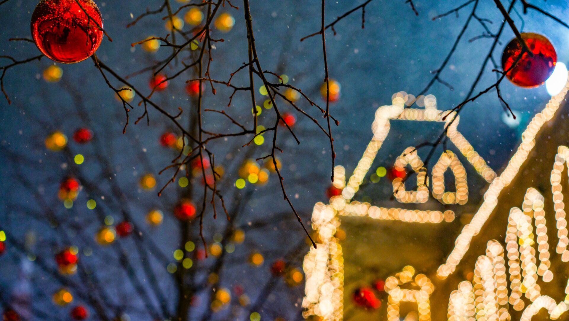 Professional Christmas light installation by Local Maintenance Services