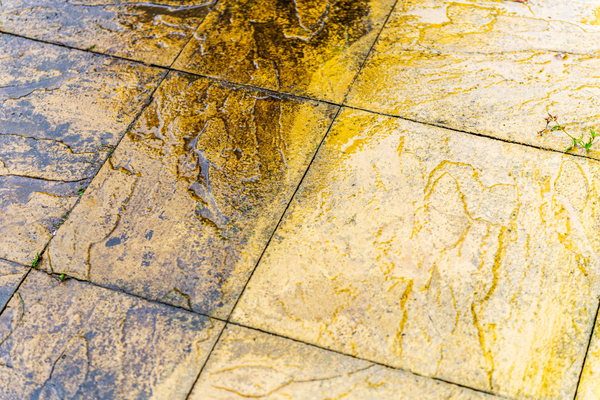 Professional jet washing by Local Maintenance Services