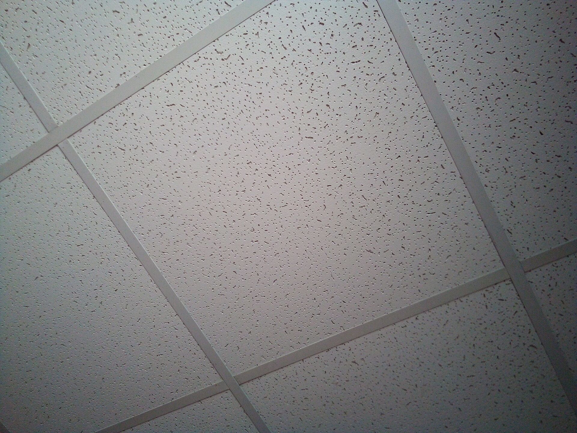 Ceiling tile repair and replacement service near me