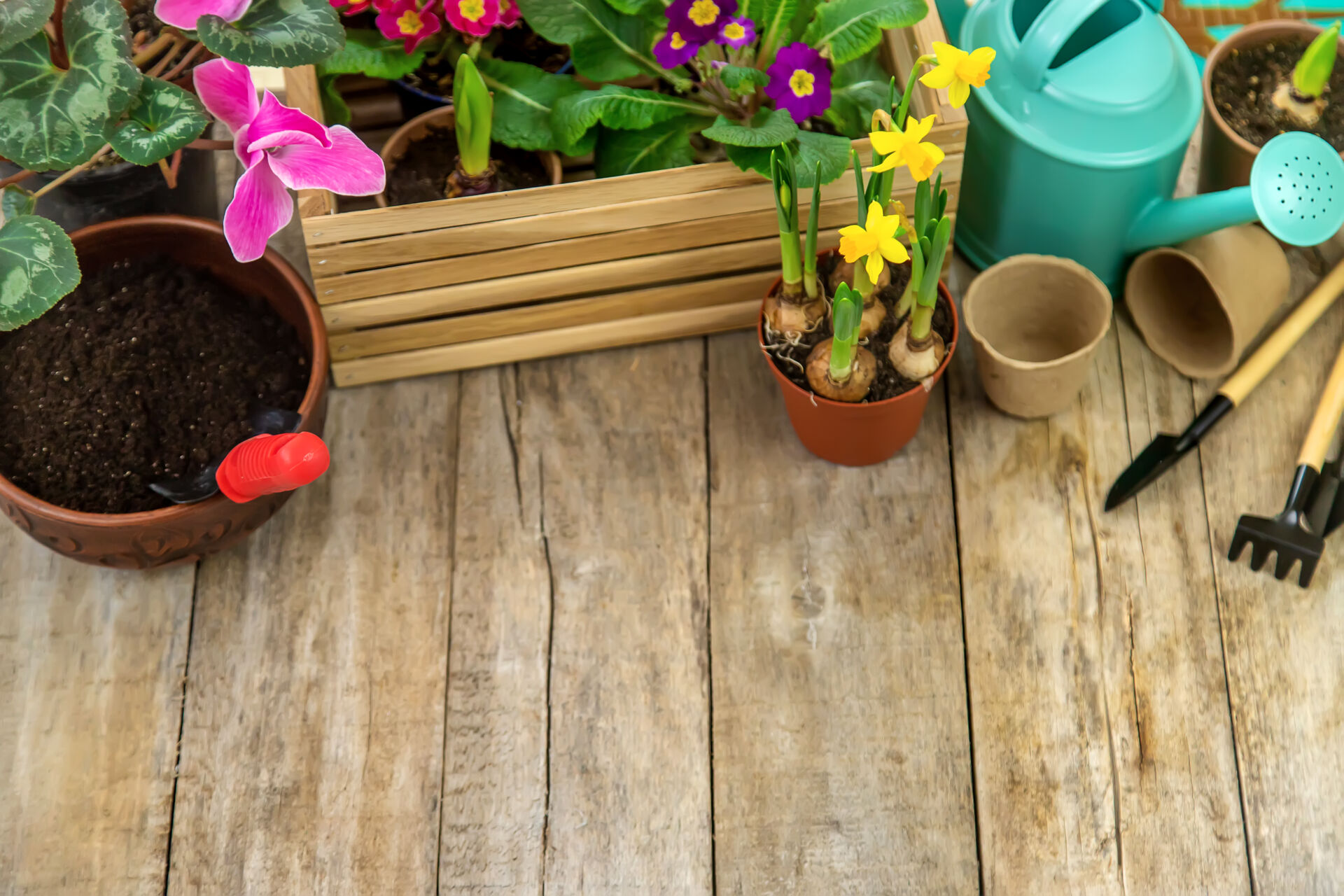 Comprehensive outdoor repair services you can trust.