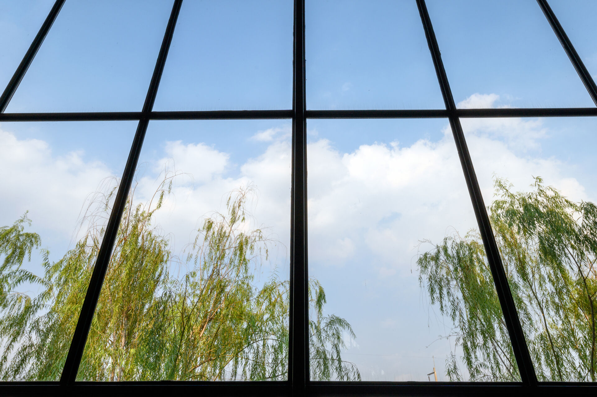 Local Maintenance Services new window repair