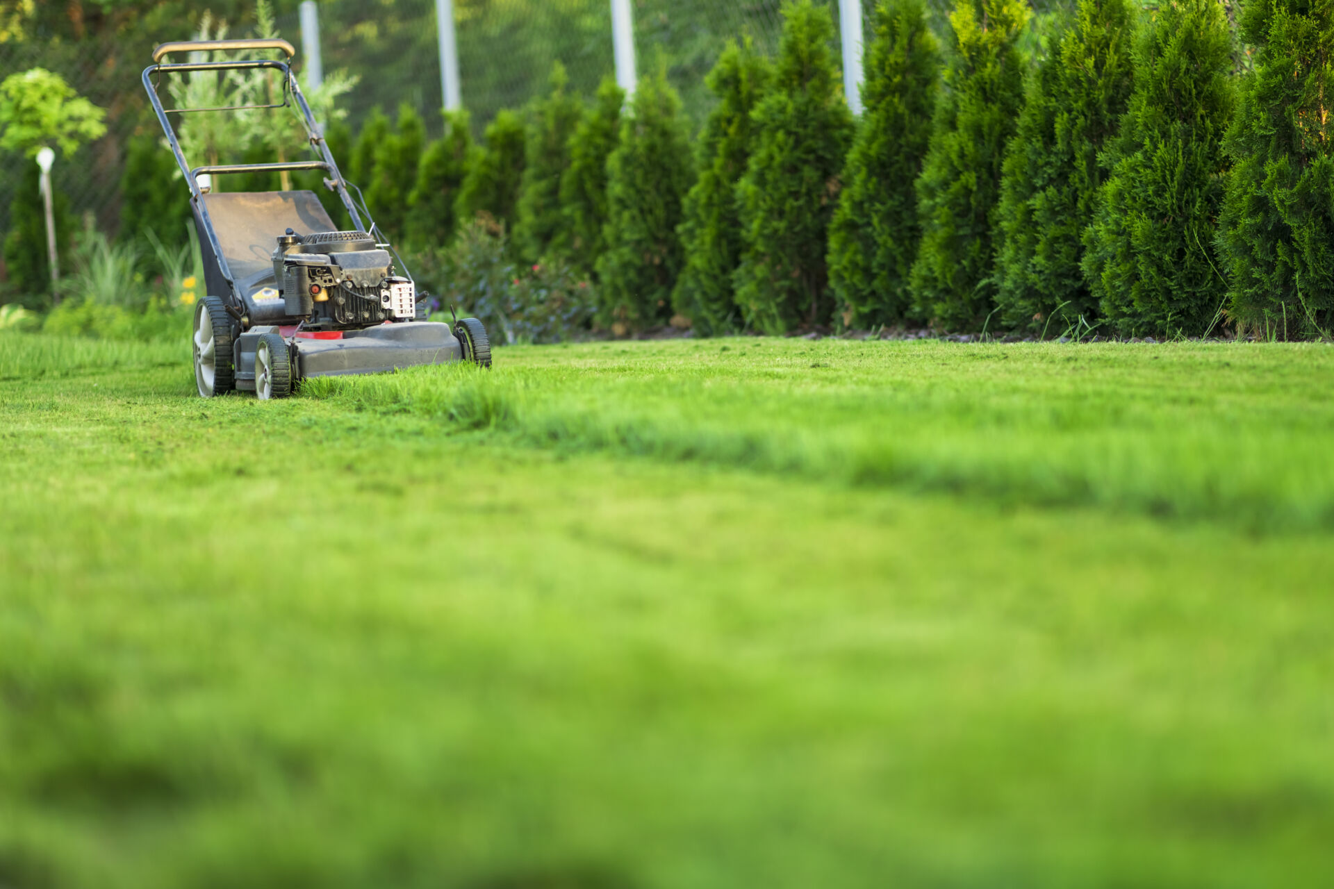 Local Maintenance Services maintaining commercial outdoor spaces