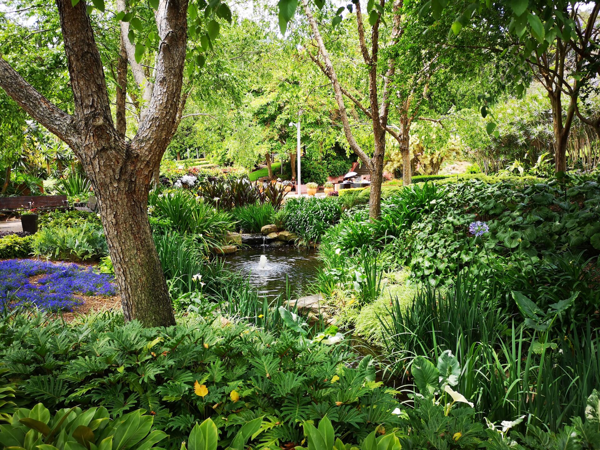 Local Maintenance Services providing lawn care and garden upkeep