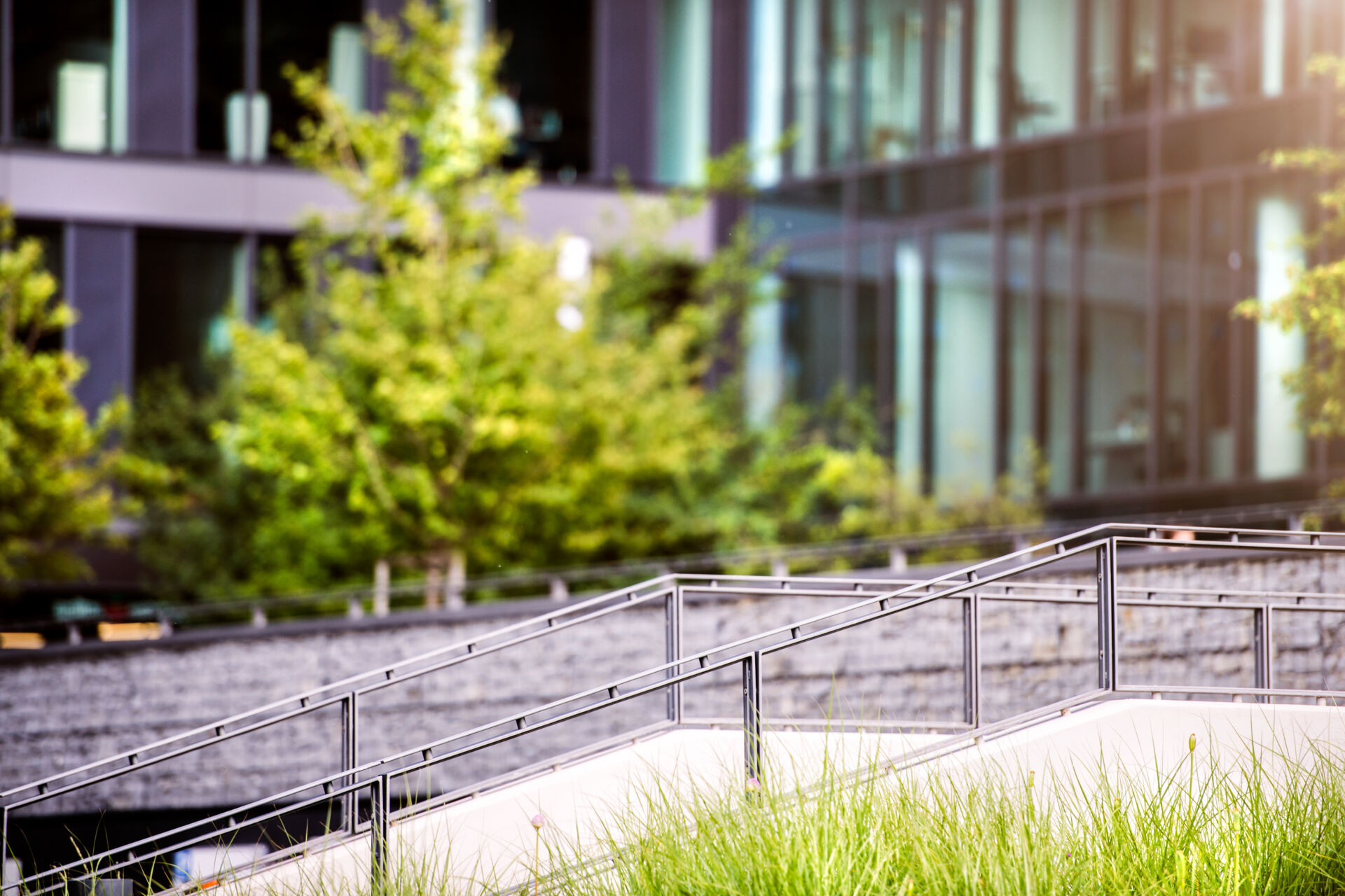 Reliable grounds care and upkeep service near me