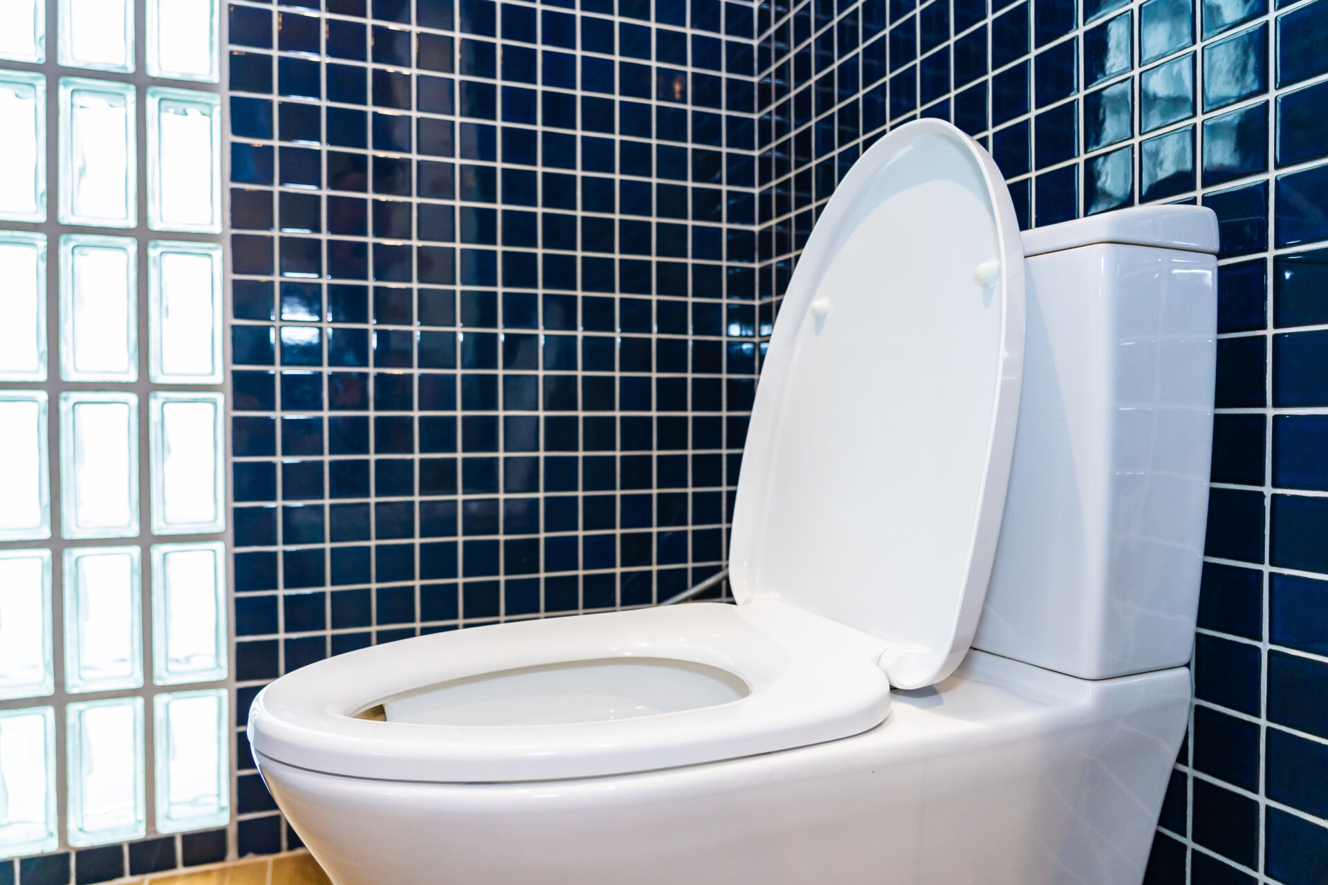 Professional toilet and urinal repairs by Local Maintenance Services