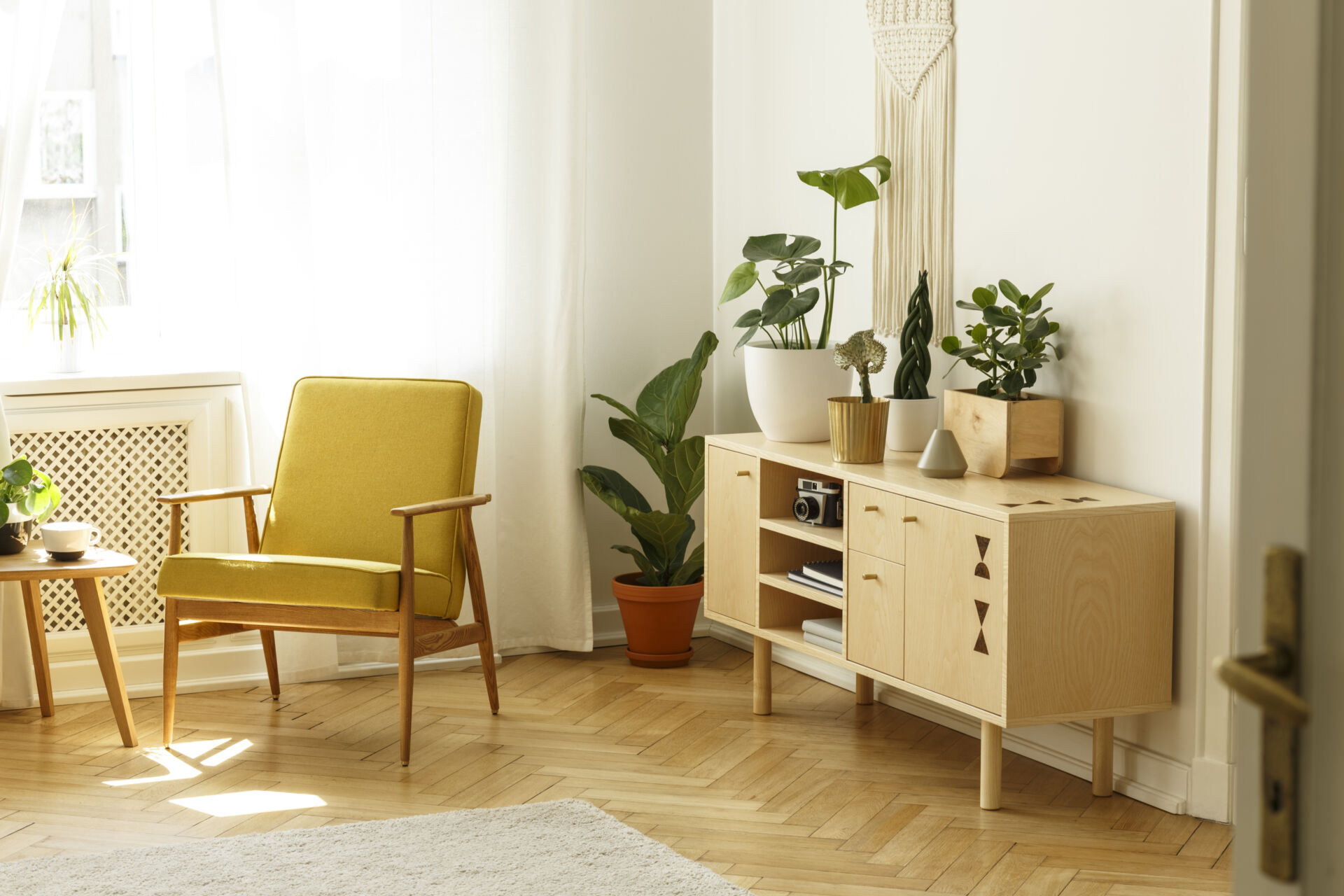 local maintenance Yellow wooden armchair next to cabinet with plant in bright living room interior. Real photo